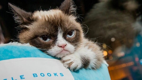 H Grumpy Cat είναι πλέον πλουσιότερη από την Νικόλ Κίντμαν και την Κάμερον Ντιάζ