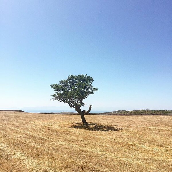 #INSTALIFO: Τετάρτη 22 Ιουλίου