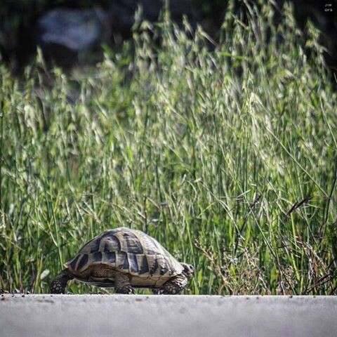 #INSTALIFO: Τετάρτη 16 Σεπτέμβρη