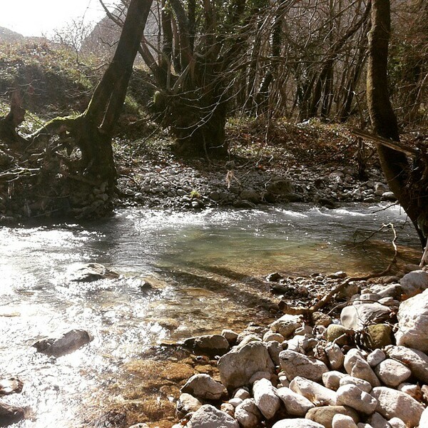 #INSTALIFO: Τετάρτη 11 Φεβρουαρίου