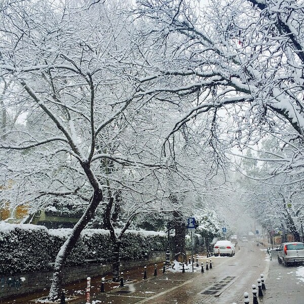 #INSTALIFO: Τετάρτη 11 Φεβρουαρίου