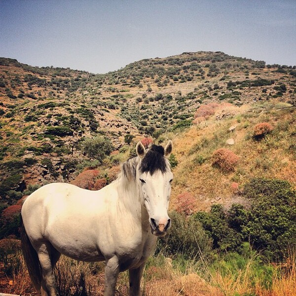 #INSTALIFO: Παρασκευή 13 Μαρτίου