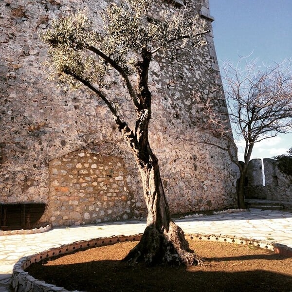 #INSTALIFO: Τρίτη 17 Φεβρουαρίου