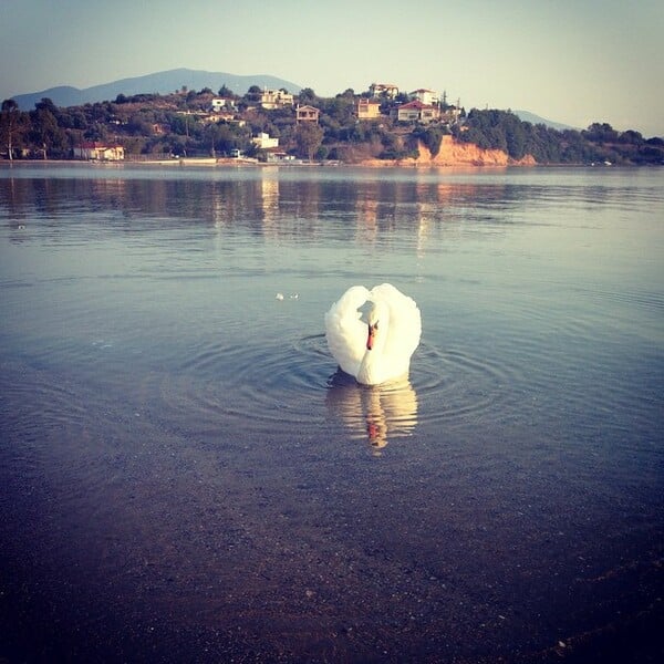 #INSTALIFO: Τρίτη 20 Ιανουαρίου