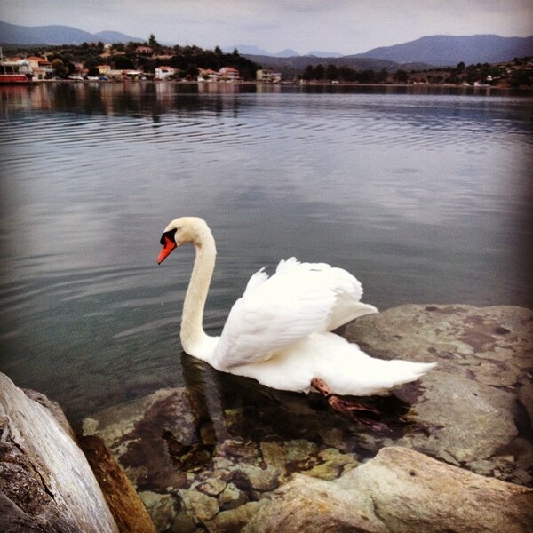 #INSTALIFO: Τρίτη 27 Ιανουαρίου