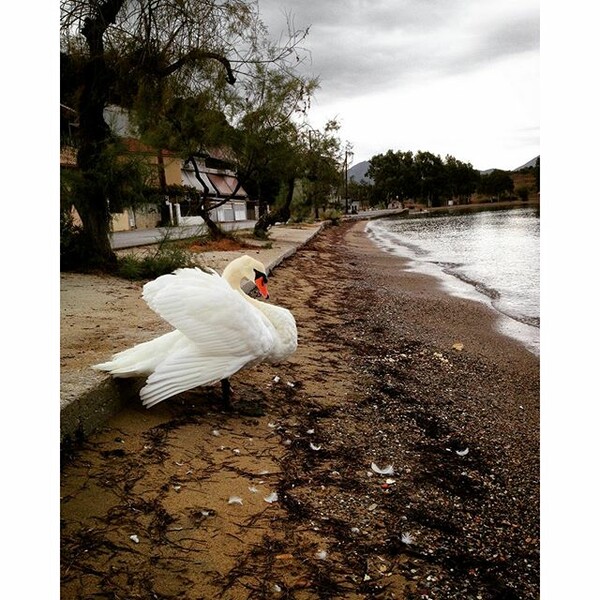 #INSTALIFO: Tετάρτη 23 Σεπτέμβρη