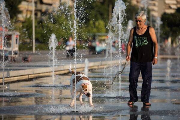 Πως να αντιμετωπίσετε τον καύσωνα