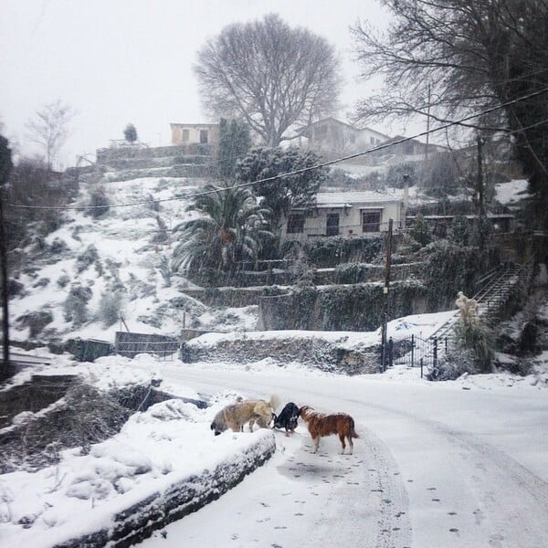 #INSTALIFO: Πέμπτη 8 Ιανουαρίου