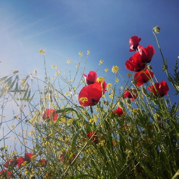 #INSTALIFO: Δευτέρα 4 Μαΐου