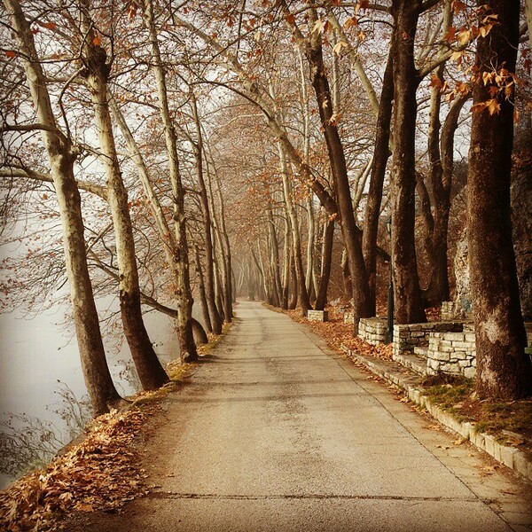 #INSTALIFO: Δευτέρα 8 Δεκεμβρίου