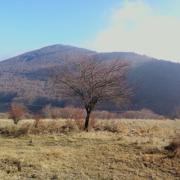 #INSTALIFO: Τετάρτη 29 Απριλίου