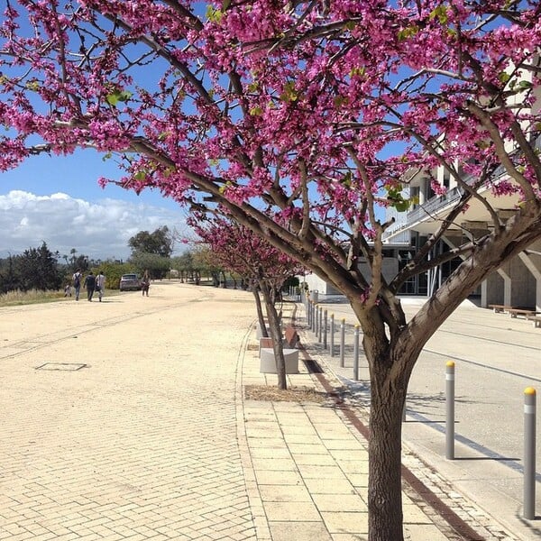 #INSTALIFO: Δευτέρα 30 Μαρτίου