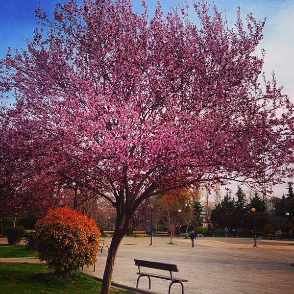 #INSTALIFO: Τετάρτη 18 Μαρτίου