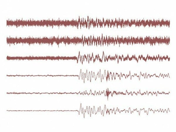 Σεισμός 6,4 βαθμών της κλίμακας Ρίχτερ σημειώθηκε στην Ινδονησία