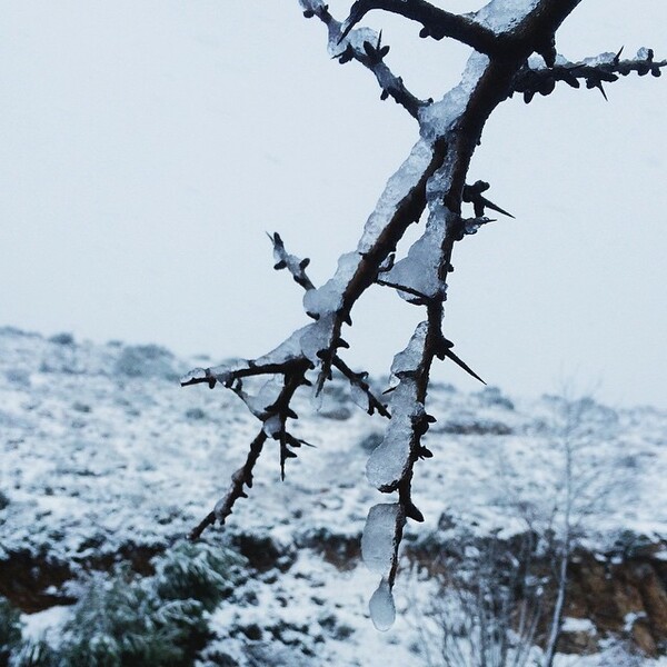 #INSTALIFO: Δευτέρα 12 Ιανουαρίου