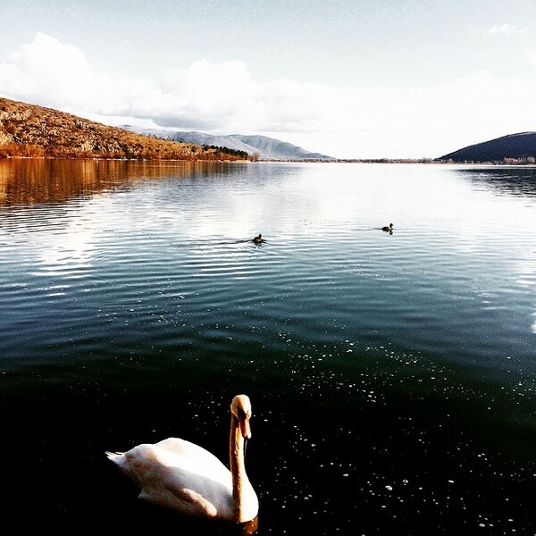 #INSTALIFO: Τρίτη 17 Μαρτίου