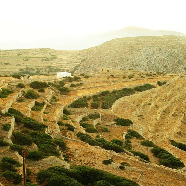 #INSTALIFO: Τετάρτη 14 Ιανουαρίου