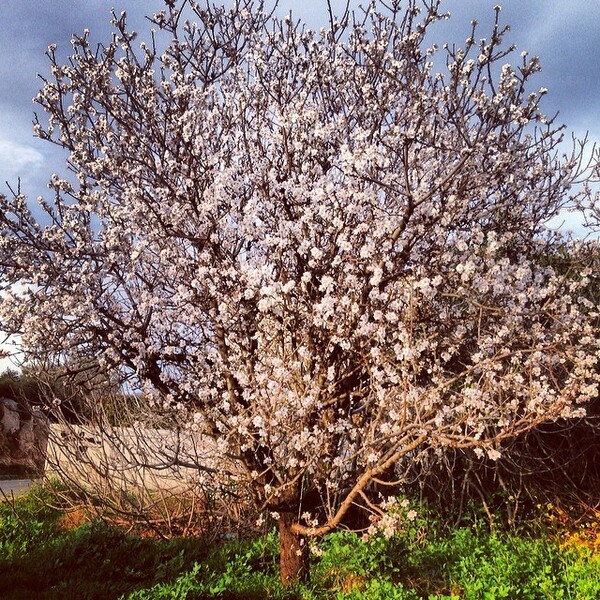 #INSTALIFO: Παρασκευή 27 Φεβρουαρίου