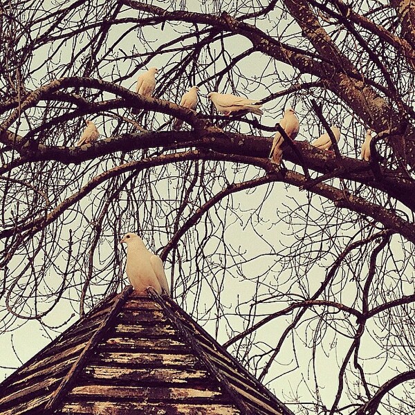 #INSTALIFO: Δευτέρα 15 Δεκεμβρίου