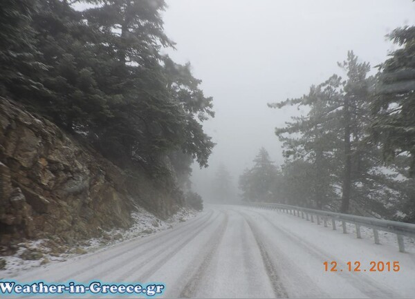 Στα λευκά η Πάρνηθα