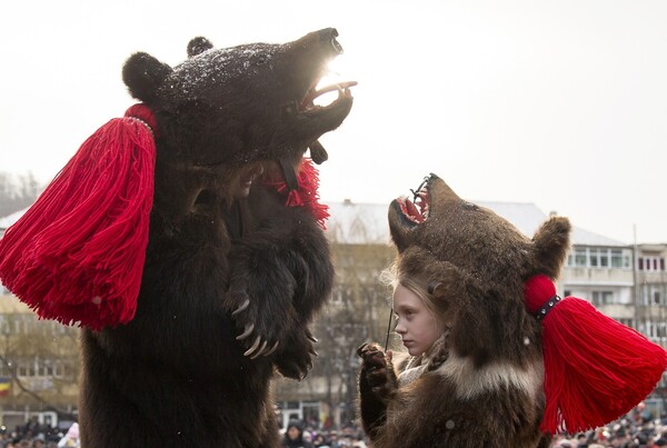 Ντυμένοι αρκούδες ξορκίζουν το κακό και υποδέχονται το 2016 στη Ρουμανία