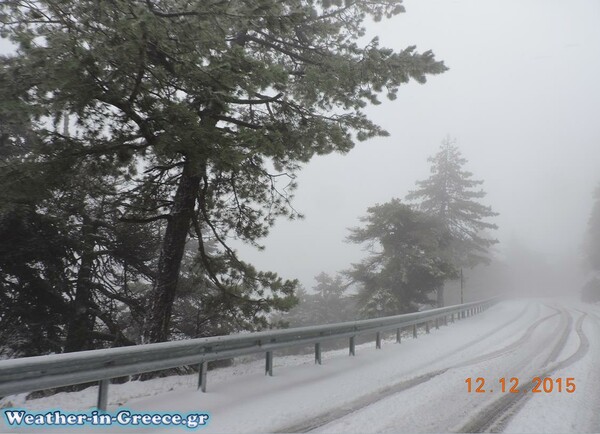 Στα λευκά η Πάρνηθα