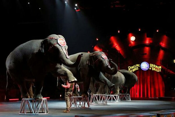 Τέλος εποχής για τους ελέφαντες του Ringling Bros- Το αμερικανικό τσίρκο τερματίζει την ατραξιόν