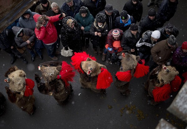 Ντυμένοι αρκούδες ξορκίζουν το κακό και υποδέχονται το 2016 στη Ρουμανία