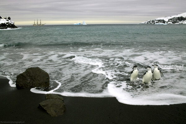 ‘Antarctica’ - Ένα φωτογραφικό έπος στο νότιο πόλο