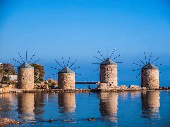 Οι μαγευτικές άγριες λαλάδες που φυτρώνουν μόνο στη Χίο