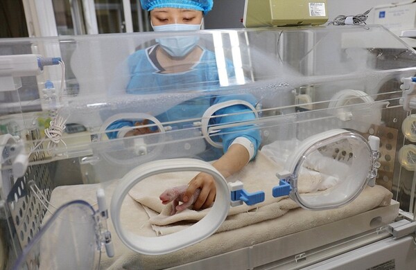 Γεννήθηκε το πρώτο μωρό πάντα στην Κίνα για το 2016