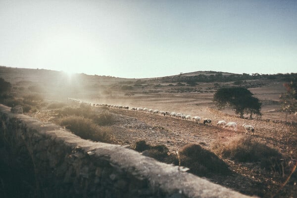 Road Trip στην Ελλάδα - 30 φωτογραφίες με τη ματιά μιας μαγεμένης ταξιδιώτισσας από την Αυστρία