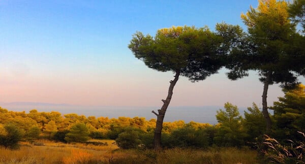 Birbinner/ Birbouter ['Εχω μόνο εσένα]. Ποιήματα και φωτογραφίες του Πέτρου Μπιρμπίλη