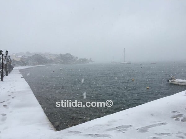 Στη Φθιώτιδα το χιόνι έφτασε στη θάλασσα - Προβλήματα με την κυκλοφορία στην εθνική