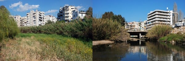 Το ρέμα της Πικροδάφνης