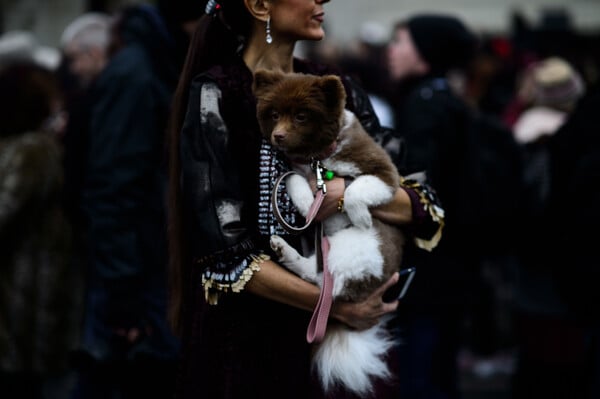 Παρίσι Street Style - 60 φωτογραφίες από την εβδομάδα μόδας στο Παρίσι