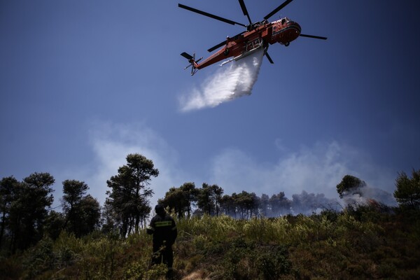 Πυρκαγιά σε δασική έκταση στα Μέγαρα