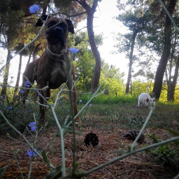 30 νέες φωτογραφίες απ' τα τέλεια ζώα των αναγνωστών μας