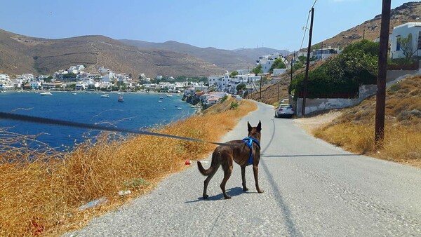 30 νέες φωτογραφίες απ' τα τέλεια ζώα των αναγνωστών μας