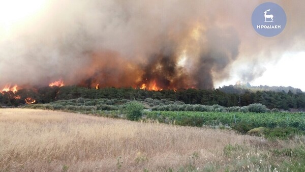 Ρόδος: Πυρκαγιά καίει ανεξέλεγκτη (video-photos)