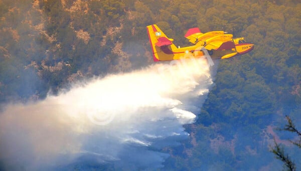 Τεράστιες οι καταστροφές από την πυρκαγιά στο Λασίθι