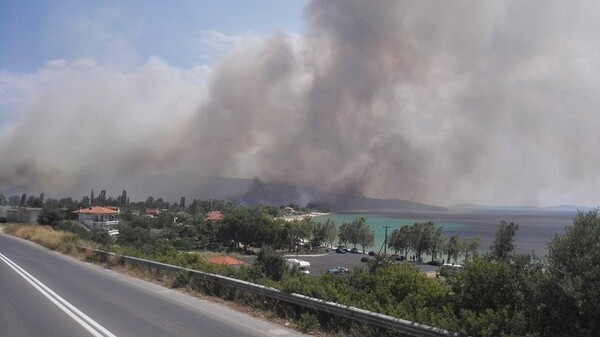 Υπό έλεγχο η πυρκαγιά στο Μαρμαρά Χαλκιδικής