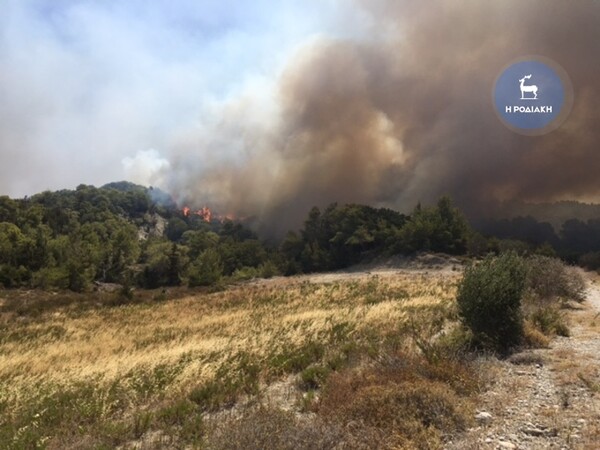 Ρόδος: Πυρκαγιά καίει ανεξέλεγκτη (video-photos)