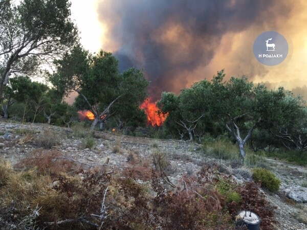 Ρόδος: Πυρκαγιά καίει ανεξέλεγκτη (video-photos)