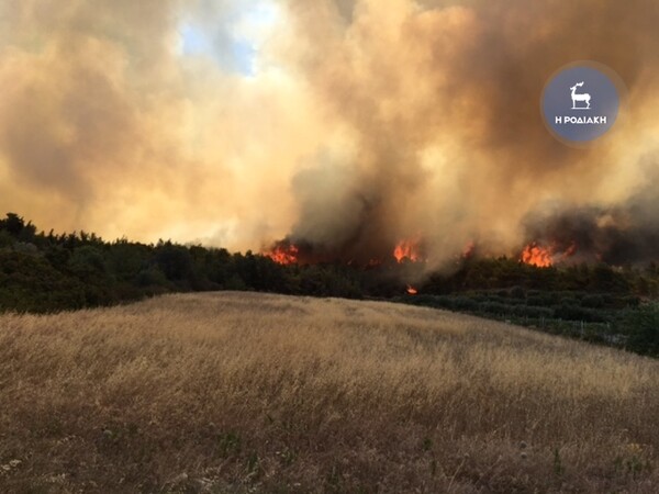 Ρόδος: Πυρκαγιά καίει ανεξέλεγκτη (video-photos)