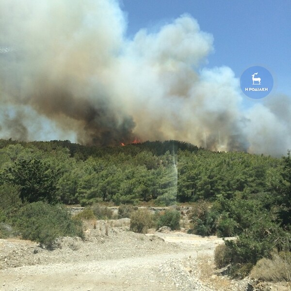 Ρόδος: Πυρκαγιά καίει ανεξέλεγκτη (video-photos)