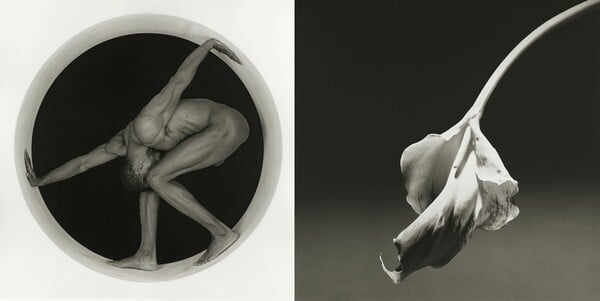 Robert Mapplethorpe: O άγγελος του σκοταδιού