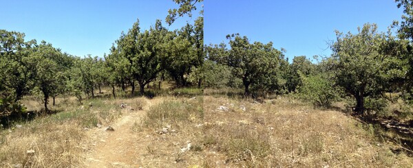 Η υστερομινωική νεκρόπολη των Αρμένων