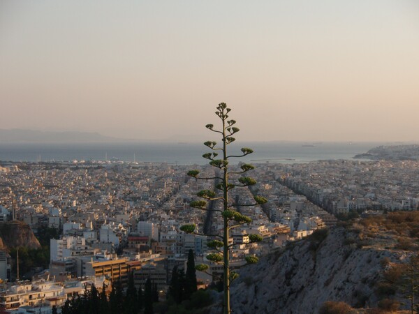 Φιλόπαππος: Ο άνθρωπος που πίστευε ότι "νίκησε" τον Παρθενώνα