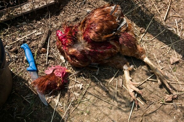 Θεία Μαρία, η απόλυτη Cock Killer